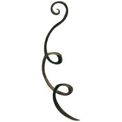 Obraz premium watercolor hand drawn dried plant decoration