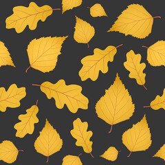Seamless autumn background of yellow gold birch and oak leaves placed on dark gray background