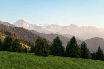 landscape in summer