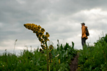 person walking in the field