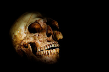 The human skull on a black background has text space.