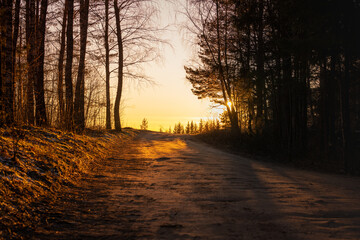 Beautiful Sunset Light and Road in Background. People are walking out of the Forest - obrazy, fototapety, plakaty