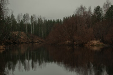 Reflection of a forest in the water
