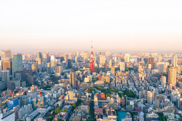 panoramic modern city skyline bird eye aerial view under sunrise and morning blue bright sky in Tokyo, Japan - obrazy, fototapety, plakaty