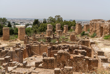 Fototapeta na wymiar Byrsa in Carthage Tunisia. Urban Phases of the hill of Byrsa.