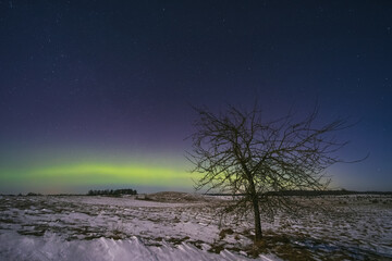 Fototapeta na wymiar Northern lights - Aurora borealis dancing in the night sky.