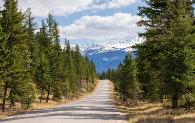 Fototapeta na wymiar Canadian Rockies rural road landscape. Forest and mountain in the background. Jasper National Park beautiful nature scenery. Alberta, Canada.