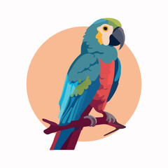 Cute parrot cartoon flat vector illustration with isolated background