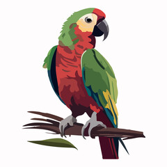Cute parrot cartoon flat vector illustration with isolated background