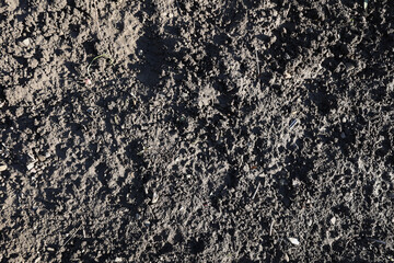 Top view, ground texture. Background of natural soil. Hard soil, unsown soil. Black soil texture. High quality photo