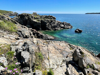 The Sea of Japan off the coast of Rikorda Island. Russia, Vladivostok