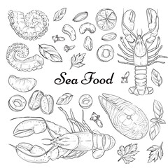 Sea food collection, Hand drawn elements collection