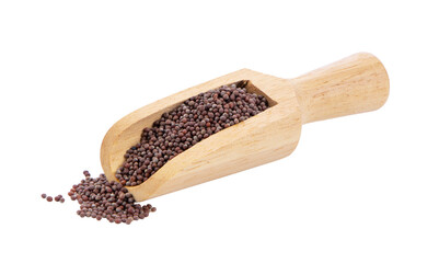 mustard seeds in wood scoop isolated on transparent png