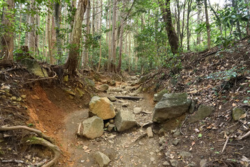 Obraz premium Climbing Mt. Tsukuba, Ibaraki, Japan