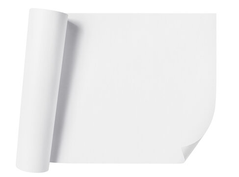 Rolled sheet of white paper, cut out