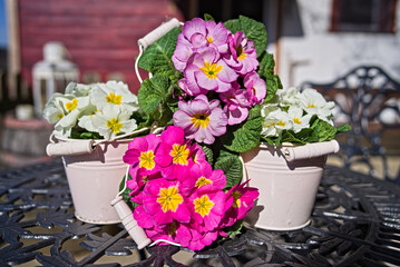 Fototapete bei efototapeten.de bestellen   