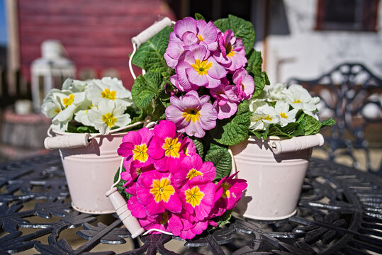 Fr&uuml;hling 5