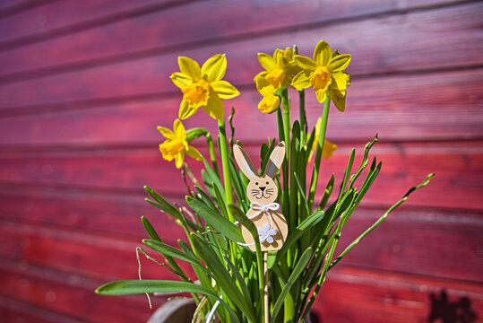 Fr&uuml;hling 4