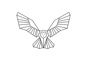 owl geometri