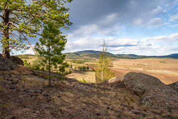 Rocks with pine trees against the sky, spring