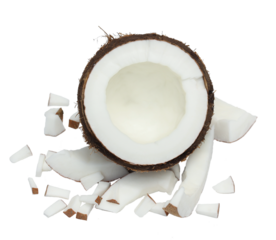 Tropical exotic organic palm fruit coco base ingredient concept, side view half brown half coconut fruit parts of fresh natural  coconut shaving scattered small pieces around isolated on white.