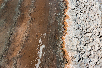 Kuyalnik estuary, Black Sea. Table salt in the form of round pancakes at the bottom and the bank of the estuary. Table salt crystals