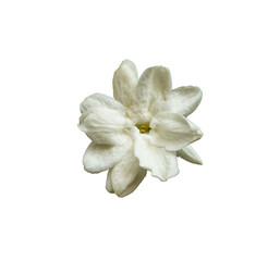 Fototapeta na wymiar white flower isolated on white,Can be used for invitations, greeting, wedding card.