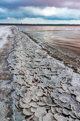 Kuyalnik estuary, Black Sea. Table salt in the form of round pancakes at the bottom and the bank of...