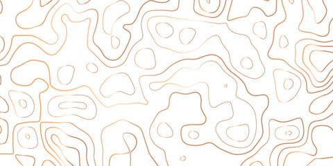 Abstract Topographic map background with wave line. gradient multicolor wave curve lines banner background design. Vector illustration. Line topography map contour background.