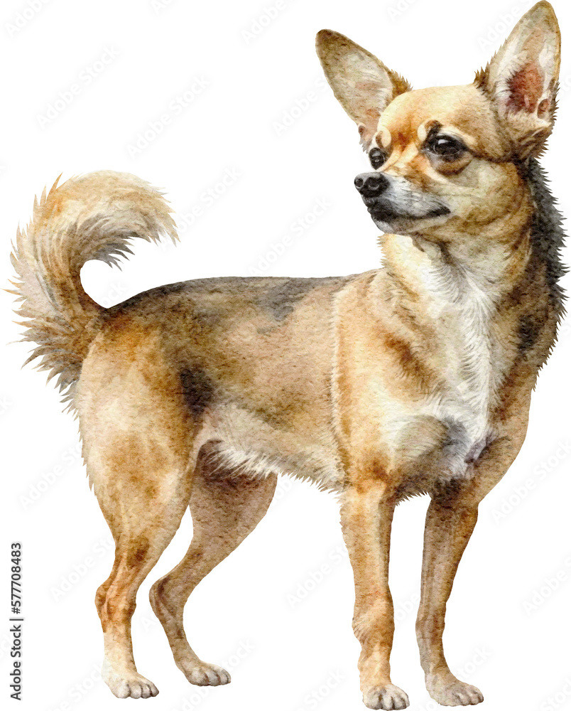 Poster chihuahua dog illustration created with generative ai technology