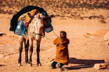 Bedouin Child Struggling to Pull Donkey, Petra Jordan - obrazy, fototapety, plakaty