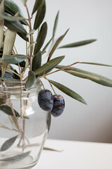 vase with fresh olive branches, minimal decor
