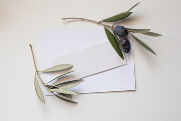 modern card mockup. invitation with fresh olive branches, minimal decor