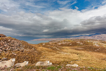 Fototapeta na wymiar Scenic view of the scottish highlands in springtime, Scotland, United Kingdom
