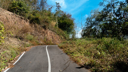 Path of a small asphalt road with forward bends. On both sides of the road there are trees and green grass. Background under the blue sky.