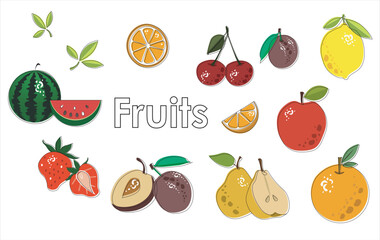 Vector different fruits on white background with black line. Flat fruits