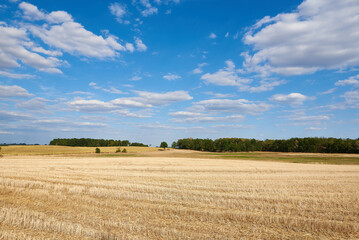 Fototapeta premium Sommer 2022 in Sachsen