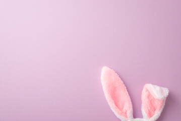 Easter celebration concept. Top view photo of fluffy easter bunny ears on isolated lilac background with copyspace
