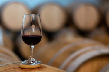 Tasting of rioja wines, visit of winery cellars with french or american oak barrels with agening red wine, Rioja wine making region, Spain