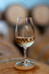 Tasting of rioja wines, visit of winery cellars with french or american oak barrels with agening red wine, Rioja wine making region, Spain