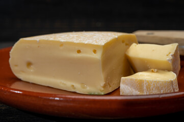 Cheese collection, French reblochon de savoie gratin cheese close up