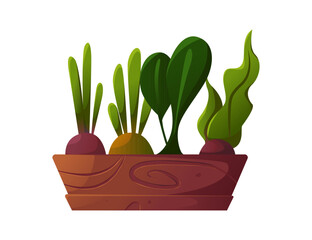 Vegetables Grow in a Cute Wooden Box. Gardening, Plants. Organic Healthy Food Greenhouse. Spring. Vector Illustration in Cartoon Style. 