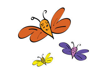 illustration butterfly image template design