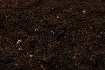 Fertile soil. Gardening concept.