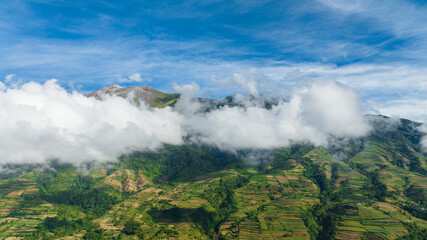 Farmland and rice terraces on the slopes of the Canlaon volcano view from above. Negros, Philippines