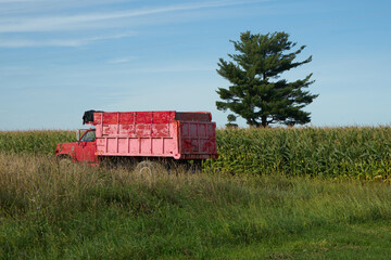 A red truck in a field.