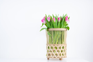 wicker vase with tulips isolated on white background Banner