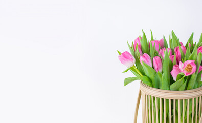 wicker vase with tulips isolated on white background Close up