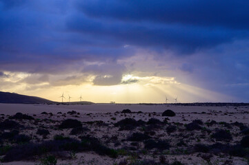 View on white sandy dunes near Corallejo beach at winter, Fuerteventura, Canary islands, Spain