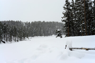 Yellowstone Winter Snow